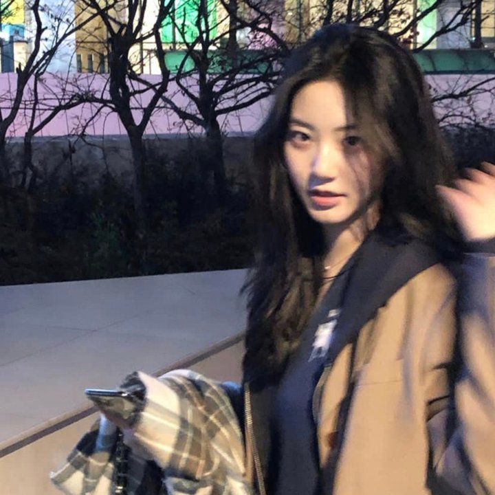 完美的主人